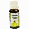 Euphorbium Kompl Nestm 142 Dilution 20 ml - ab 6,16 €