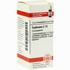 Euphrasia C12 Globuli 10 g - ab 6,98 €
