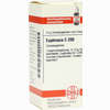 Euphrasia C200 Globuli 10 g - ab 12,35 €