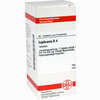 Euphrasia D4 Tabletten 80 Stück - ab 7,84 €