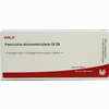 Fasciculus Atrioven Gl D8 Ampullen 10 x 1 ml - ab 19,41 €