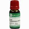 Ferrum Phosphor Lm 18 10 ml - ab 14,13 €