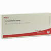 Ferrum/sulfur Comp Ampullen 10 x 1 ml - ab 19,41 €