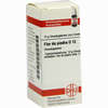 Flor De Piedra D12 Globuli 10 g - ab 7,55 €