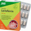 Floradix Lactoferrin 100mg Kapseln 30 Stück - ab 15,02 €