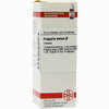 Fragaria Vesca Urtinktur Dilution 20 ml - ab 10,80 €