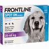 Frontline Spot On Hund L Vet. Lösung  6 Stück - ab 36,39 €