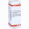 Fucus Vesicul D12 Dilution 20 ml - ab 9,30 €