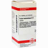 Fucus Vesicul D2 Tabletten 80 Stück - ab 8,69 €
