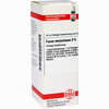 Fucus Vesicul D6 Dilution 20 ml - ab 8,69 €