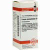 Fucus Vesicul D6 Globuli 10 g - ab 7,55 €