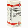 Fucus Vesiculosus D 1 Globuli 10 g - ab 7,45 €