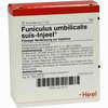 Funiculus Umbilicalis Suis- Injeel Ampullen  10 Stück - ab 22,07 €