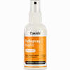 Fußspray Biofit Pflanzlich  100 ml - ab 12,51 €