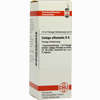 Galega Offic D6 Dilution 20 ml - ab 0,00 €