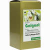 Galgant Kapseln 120 Stück - ab 24,51 €