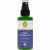 Ganz Entspannt Raumspray Bio 50 ml - ab 9,58 €