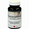 Gastromod Probiotika- Kapseln  45 Stück - ab 14,39 €