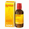 Gelsemium Comp.- Hevert Tropfen  100 ml - ab 23,39 €