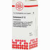 Gelsemium D12 Globuli DHU-Arzneimittel GmbH & Co. KG 10 g - ab 6,66 €