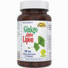 Ginkgo- Alpha- Lipon Kapseln 60 Stück - ab 14,00 €