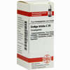Ginkgo Biloba C30 Globuli 10 g - ab 7,84 €