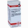 Ginkgo Biloba D12 Globuli 10 g - ab 7,55 €
