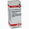 Ginkgo Biloba D30 Globuli 10 g - ab 7,49 €