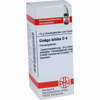 Ginkgo Biloba D4 Globuli 10 g - ab 7,55 €