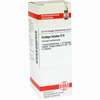 Ginkgo Biloba D6 Dilution 20 ml - ab 9,30 €