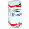 Ginkgo Biloba D6 Globuli 10 g - ab 7,16 €