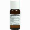 Ginseng äth. Dec. D1 Dilution 50 ml - ab 0,00 €