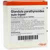 Glandula Parathyreoidea Suis- Injeel Ampullen  10 Stück - ab 0,00 €