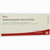 Glandula Suprarenalis Sinistra Cum Cupro Ampullen  10 x 1 ml - ab 19,41 €