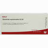 Glandulae Supraren Gl D4 Ampullen 10 x 1 ml - ab 31,30 €