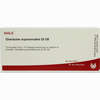 Glandulae Suprarena Gl D8 Ampullen 10 x 1 ml - ab 19,41 €