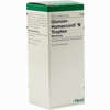 Glonoin Homaccord N Tropfen 30 ml - ab 6,83 €