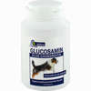 Glucosamin+chondroitin Kapseln für Hunde  120 Stück - ab 12,19 €