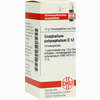 Gnaphalium Polyc D12 Globuli 10 g - ab 7,55 €