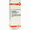 Gnaphalium Polyc D4 Dilution 20 ml - ab 8,10 €