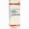 Gnaphalium Polyc D4 Dilution 20 ml - ab 12,60 €