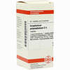 Gnaphalium Polyc D4 Tabletten 80 Stück - ab 0,00 €