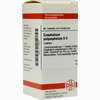 Gnaphalium Polyc D6 Tabletten 80 Stück - ab 8,69 €