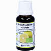 Abbildung von Grapefruitkernextrakt- Bio Lösung 20 ml