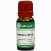 Graphites Arca Lm 12 10 ml - ab 10,36 €