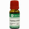 Graphites Arca Lm 30 10 ml - ab 15,40 €