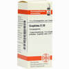 Graphites D20 Globuli 10 g - ab 7,55 €
