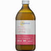Graviola Direktsaft Bio 100 %  500 ml - ab 10,80 €
