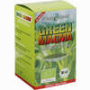 Green Magma Gerstengrasextrakt Pulver 150 g - ab 26,90 €