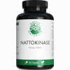 Green Naturals Nattokinase 100 Mg Vegan 365 Stück - ab 22,41 €